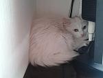     
: 20140311_121457.jpg
: 34
:	81.4 
ID:	7863070