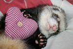     
: IMG_8667.jpg
: 45
:	147.2 
ID:	7864349