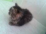     
: RwmR1Oa40is.jpg
: 11
:	82.8 
ID:	7867563