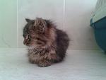     
: XfPyjqPuHGA.jpg
: 19
:	74.1 
ID:	7867565