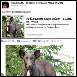     
: собака путин.jpg
: 7
:	103.6 
ID:	7872450