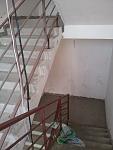     
: 20140320_154431.jpg
: 32
:	71.9 
ID:	7873295