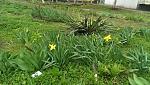     
: IMAG0594.jpg
: 11
:	286.1 
ID:	7873827