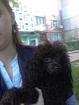     
: 20130516_185910.jpg
: 15
:	67.5 
ID:	7881947