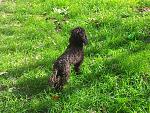    
: 20131009_104302.jpg
: 17
:	313.4 
ID:	7881948