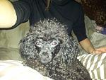     
: 20130907_161852.jpg
: 19
:	163.9 
ID:	7881949