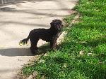     
: 20131009_104257.jpg
: 17
:	257.5 
ID:	7881950