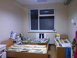     
: WP_000712.jpg
: 240
:	107.1 
ID:	7883384