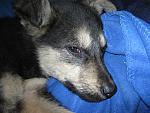     
: IMG_8601.jpg
: 22
:	222.3 
ID:	7885592