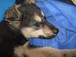     
: IMG_8606.jpg
: 8
:	216.4 
ID:	7885593