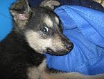     
: IMG_8607.jpg
: 9
:	207.4 
ID:	7885594