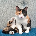     
: DSC_3522.jpg
: 2
:	91.4 
ID:	7890183