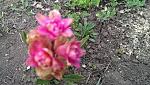     
: IMAG0094.jpg
: 22
:	187.9 
ID:	7891015