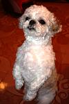     
: IMG_0542.jpg
: 18
:	58.1 
ID:	7893875