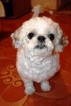     
: IMG_0549.jpg
: 14
:	56.8 
ID:	7893877