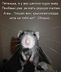     
: kotomatritsa_smP.jpg
: 13
:	54.3 
ID:	7901374