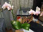     
: DSC02462.jpg
: 24
:	143.7 
ID:	7902306