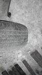     
: 2014316154555.jpg
: 19
:	49.0 
ID:	7906415