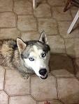     
: IMG_0974.jpg
: 22
:	102.8 
ID:	7906633