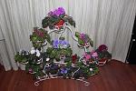     
: IMG_0148.jpg
: 9
:	163.7 
ID:	7914325