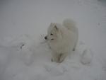     
: 2009-12-16 030.jpg
: 23
:	39.3 
ID:	791434