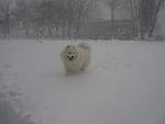     
: 2009-12-16 015.jpg
: 21
:	62.2 
ID:	791436