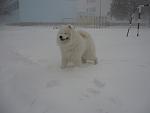    
: 2009-12-16 023.jpg
: 22
:	47.8 
ID:	791438