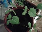     
: 2014-03-26 19.46.53.jpg
: 9
:	107.3 
ID:	7916669