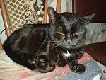     
: 20140327_194032.jpg
: 7
:	131.1 
ID:	7919163