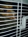     
: 20140328_220528.jpg
: 47
:	74.2 
ID:	7920730