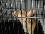     
: 20140328_222520.jpg
: 44
:	128.4 
ID:	7920731