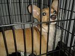     
: 20140328_222610.jpg
: 33
:	144.1 
ID:	7920732