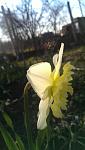     
: IMAG0103.jpg
: 4
:	56.3 
ID:	7925065