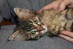    
: Мирон1.jpg
: 5
:	131.3 
ID:	7925882