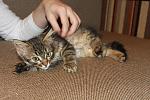     
: Мирон3.jpg
: 10
:	157.7 
ID:	7925887