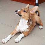     
: DSC_3998.jpg
: 11
:	62.2 
ID:	7926258