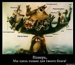     
: 10006962_1399654156972776_1218850896_n.jpg
: 11
:	43.4 
ID:	7926583
