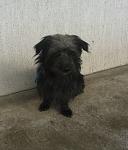     
: 20140327_154919.jpg
: 9
:	111.3 
ID:	7927431
