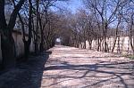     
: IMAG0247.jpg
: 10
:	178.5 
ID:	7928537
