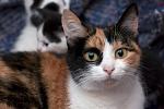     
: DSC_3924.jpg
: 6
:	50.0 
ID:	7928890