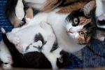     
: DSC_3922.jpg
: 3
:	47.5 
ID:	7928891