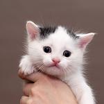     
: DSC_3899_1.jpg
: 3
:	47.9 
ID:	7928894