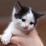     
: DSC_3880_1.jpg
: 5
:	57.9 
ID:	7928896
