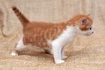     
: DSC_3837.jpg
: 6
:	49.9 
ID:	7928899