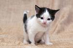     
: DSC_3830.jpg
: 4
:	39.9 
ID:	7928900