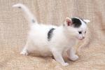     
: DSC_3789.jpg
: 3
:	49.1 
ID:	7928902