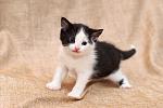     
: DSC_3764.jpg
: 3
:	47.7 
ID:	7928903