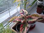    
: 2014-03-30 12.07.56.jpg
: 8
:	165.2 
ID:	7930233