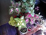     
: 2014-03-30 12.05.47.jpg
: 13
:	174.1 
ID:	7930241