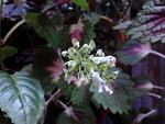     
: 2014-03-30 12.04.56.jpg
: 9
:	112.3 
ID:	7930242